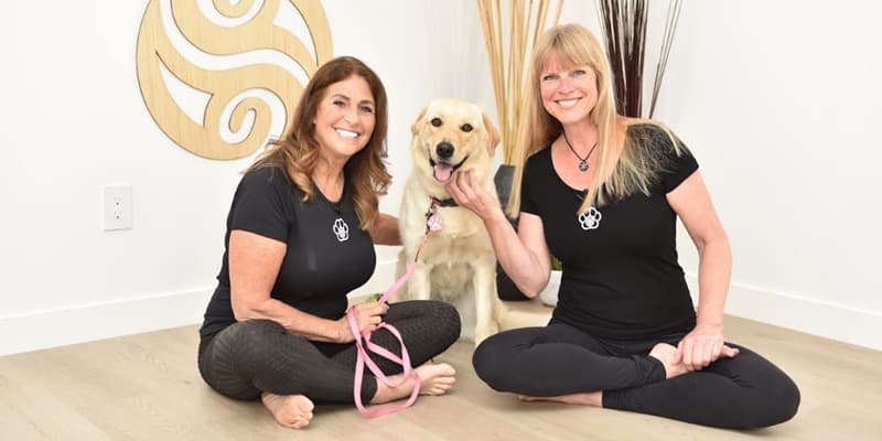 Pet Program