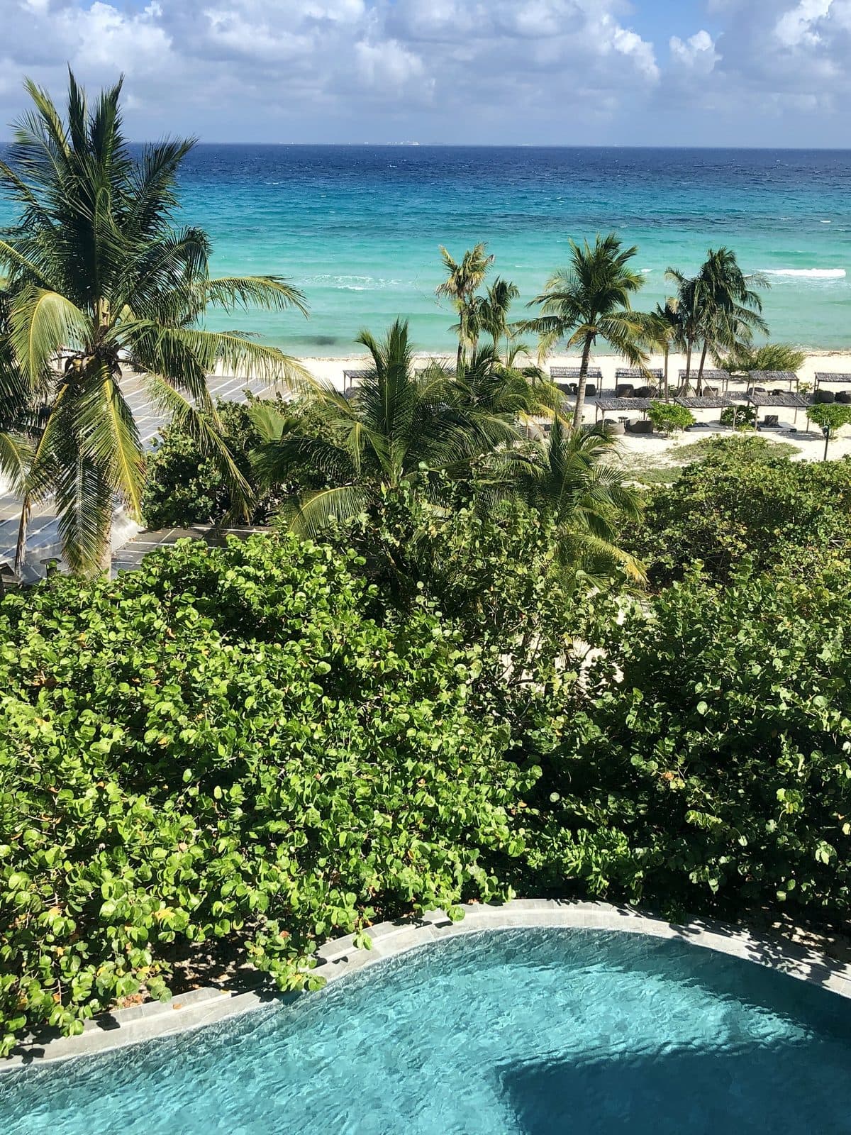 Palms, pool, and the Caribbean at Palmaïa