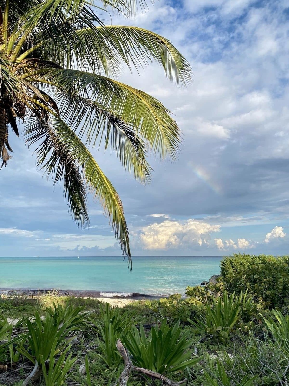 Ocean-facing sanctuary at Palmaïa