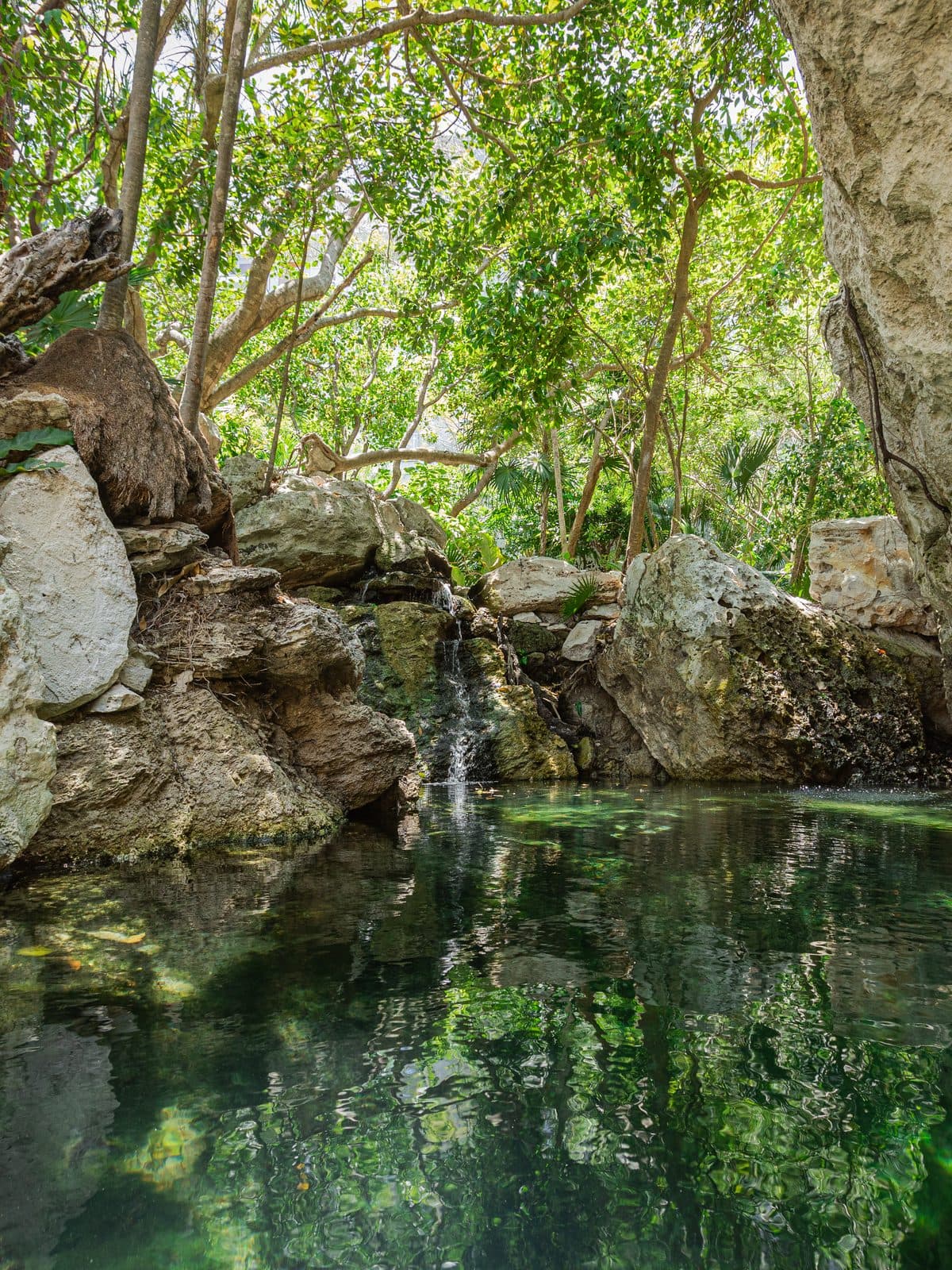 A jungle cenote at Palmaïa